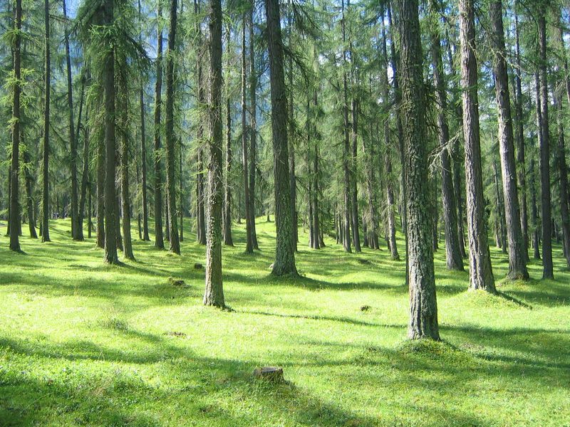 Kliknutím na obrázek se okno zavře